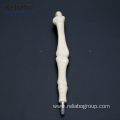 Custom Shape Bone Spine Ball Pen